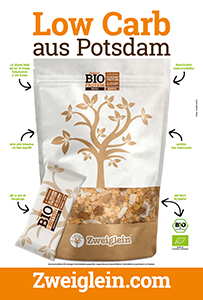 DIN A0 Plakat Zweiglein